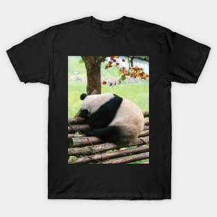 Sleeping Panda T-Shirt